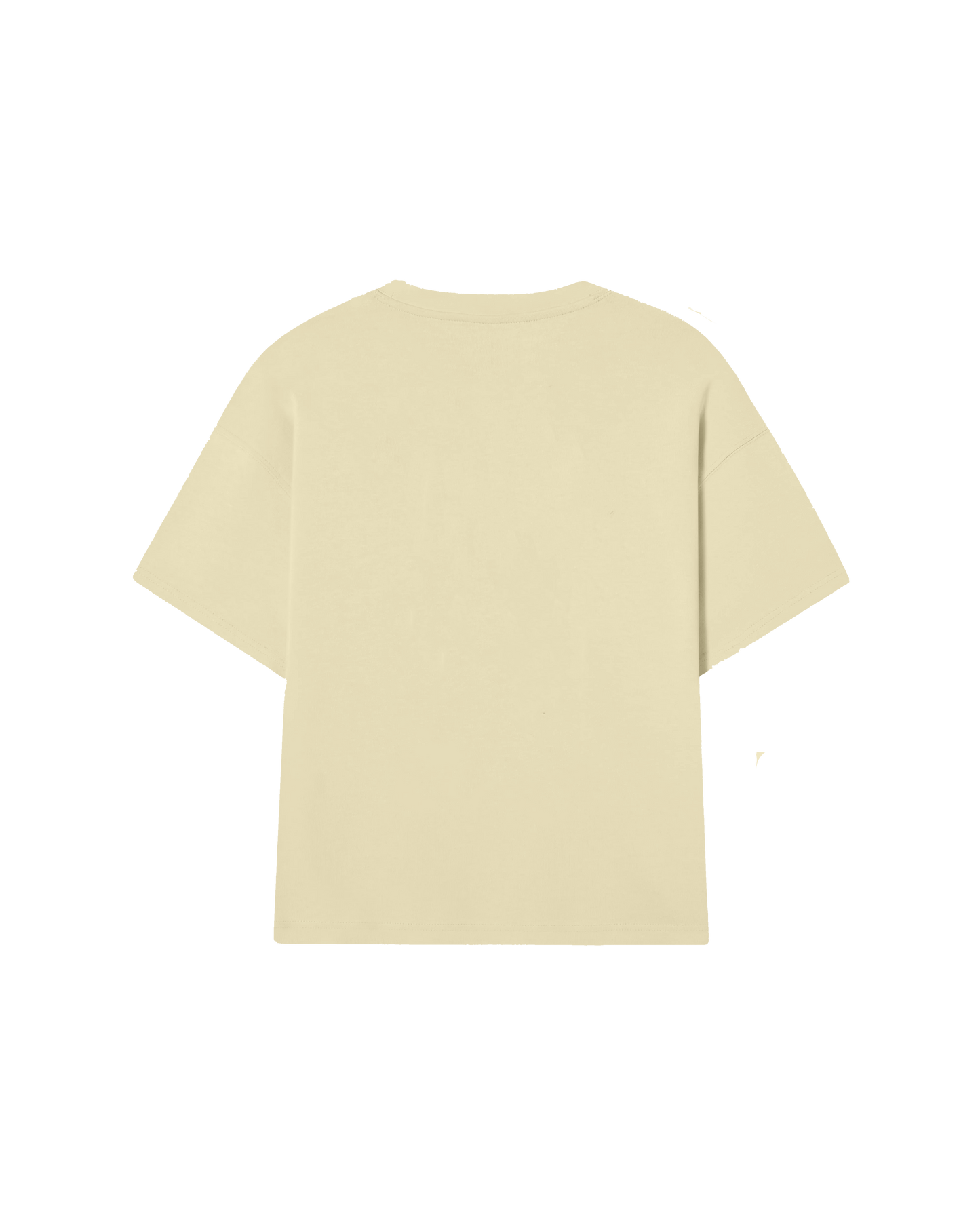 POLERA BOXY OVERSIZED (HEAVYWEIGHT)